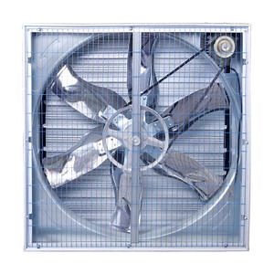 [Hot Item] Push-Pull Type Industrial Exhaust Fan for Broiler Shed Ventilation