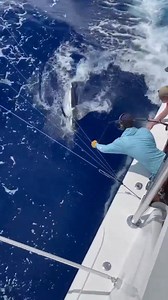 7.4K views · 118 reactions | #Abaco Marlin  palmernashville | Bahamas Sport Fishing Network | Facebook