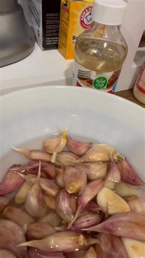 36 reactions · 7 comments | 龍 Behind the Scenes at Petaluma Gardens  From soaking garlic cloves in alcohol to transferring them into a mix of fertilizer and baking soda, here’s a behind-the-scenes look at how we prep our garlic before it heads to the garden! It’s all part of getting ready for planting — and setting up for a flavorful harvest. ✨ #PetalumaGardens #GarlicSeason #FarmLife #BehindTheScenes #HarvestingJoy #FlowersAndFlavors | Petaluma Gardens | Facebook