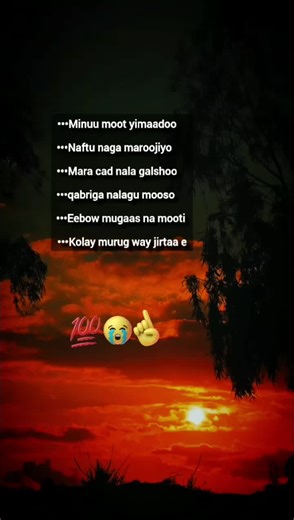 Emotional Tribute to Loved Ones in Somali Culture