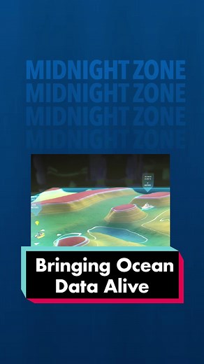 We've teamed up with @Microsoft Mesh to help bring our ocean data alive and make it more accessible to the world through Interactive 3-D experiences. We hope to give people a new perspective and understanding of our #ocean and the wonder it brings to our lives. #Microsoft #AugmentedReality #worldoceansday #sciencetok