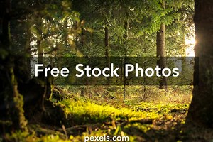 8k Wallpaper Photos, Download The BEST Free 8k Wallpaper Stock Photos & HD Images