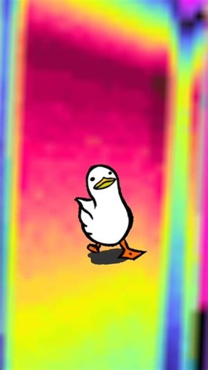 duck is stuck in a rainbow loop