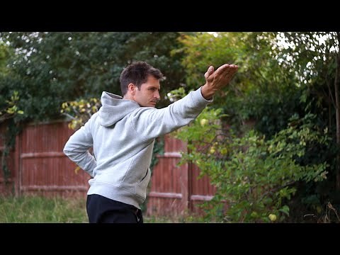 Snake Style Kung Fu Lesson