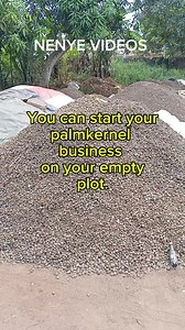 There is so much opportunity in the kernel business. Kernel business is so diversified, more than 10 businesses can be curved out from this little kernel you see. Anyone can do it provided you have the knowledge, it's not gender sensitive. With 3-5M you can set up this type of your plot of land. There are ways to start it even with little capital too. There is profit in it if you know the business. This is the preparation period for anyone who wants to go into kernel business. You can register f