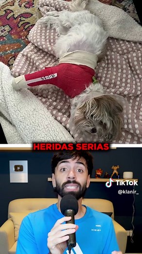 Gata Protege a Perro de Coyotes Salvajes