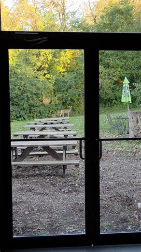 4.7K views · 76 reactions | Our neighbors always want to know what's for supper! | Twin Springs Supper Club | Facebook