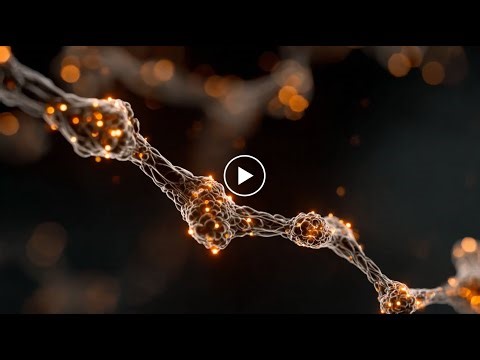 Flow State Science: How to Enter Peak Performance on Demand