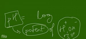 A dilute solution of sodium carbonate was added to two test tub... | Filo