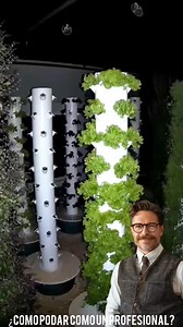 🚀 El Futuro del Huerto es SIN TIERRA ​#therandomizeshow #metodorandomize #therandomizegener #hidroponia #huertourbano #futuro #jardineria | The Randomize Show