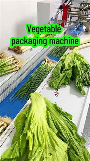How a Vegetable Packaging Machine Enhances Efficiency