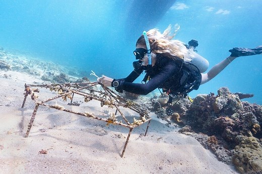 10 Best Volunteer Abroad Programs in the World in 2026