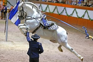 Sherry winery tour with horse dance show from Seville -