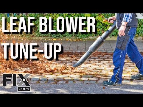 Leaf Blower Won't Start? Give it a Tune-Up to Make Sure Your Leaf Blower Runs Smoothly! | FIX.com