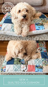 2.3K views · 28 reactions | 淋Free project: Patchwork, Quilted Dog...