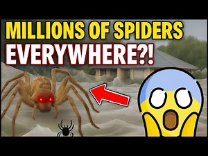 OMG!! Millions of Spiders Everywhere!? #australia #spider