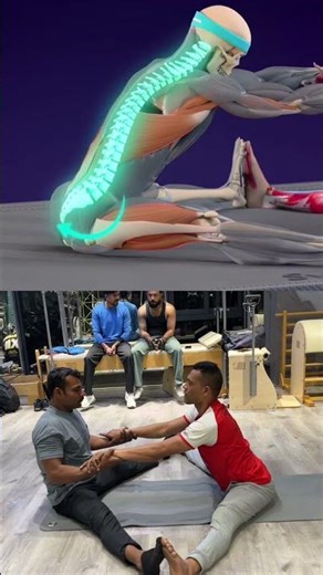 Hamstring stretch/ love Stretch/partner stretch #gym #lowerbackstretch #backpain #stretching #pain