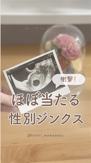 ことり⌇後悔のないトツキトオカ𓎤𓅮 ⸒⸒ on Instagram: "˗ˏˋ 詳しいやり方はこちらˎˊ˗ プレママさん・プレパパさんに後悔のない 楽しい妊婦生活を送ってほしい🧸🌷 ⿻*.·┈┈┈┈┈┈┈┈┈┈┈┈┈┈┈┈┈┈⿻*. こんにちは！ 2024年7月に第一子を出産したことりです🪽 今回のテーマは… ほぼ100%当たる性別ジンクスについて👶🩷🩵 この性別は「マヤ式性別チャート」という 性別判断計算だよ🗓️ 受胎時のママの年齢と 受胎した月で調べることができるよ！ 受胎した月は出産予定日から9ヶ月遡った月🌕 ⚠️妊娠がわかった月じゃないよ だから、私は心拍確認できた時に 出産予定日がわかったから 性別を計算することができたの✨ 【やり方】 受胎時のママの年齢・受胎月→性別 偶数・偶数→女の子 偶数・奇数→男の子 奇数・偶数→男の子 奇数・奇数→女の子 例えば… 受胎した時のママの年齢が28歳（偶数）で 出産予定日が8月だったら 9ヶ月遡ると受胎月が11月（奇数）だから →男の子👶🩵 になるよ！ ネットで調べると自動計算してくれるサイトがあるから 良かった