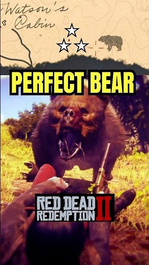 RDR2: Perfect Bear Hunt Location 3 Star | kill guide 🐻 | #rdr2 #gaming #shorts #arthurmorgan