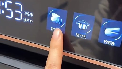 华帝（VATTI）18套洗碗机嵌入式双子星变频全域洗105℃热风烘干独嵌两用独立式一级水效家电补贴魔丸同款 D3000