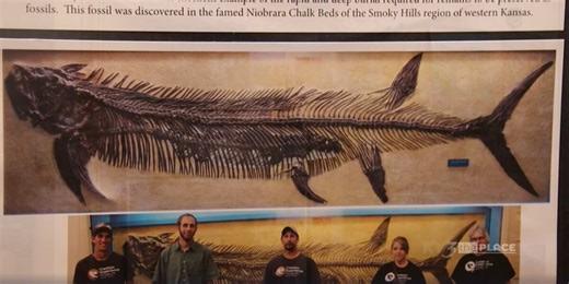 SPONSORED The Place: Explore The Creation Museum with Kadee!