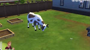 Dairy Cow mod Work in Progress
