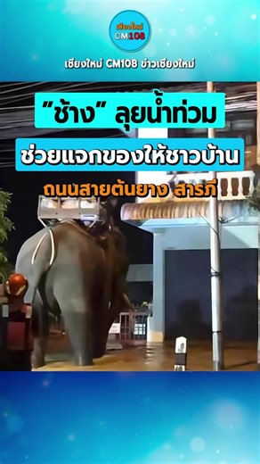 ช้างลุยน้ำช่วยชาวบ้านที่ถนนสายต้นยาง