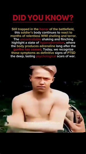 ​How War Breaks the Human Mind: The Reality of PTSD