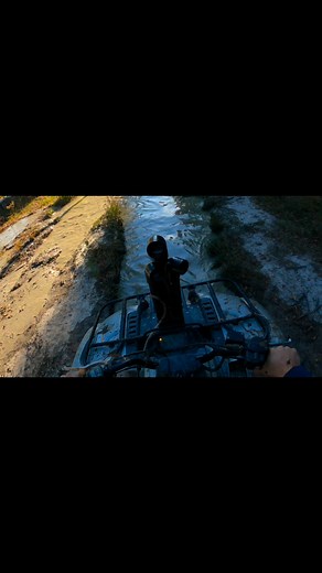 I sunk the grizzly again FULL VIDEO ON YT LINK IN Comment #mudtires #funnyvideos #4wheeler #atv #Youtube #mudbogging #mudding #UTV | Carolina Rut Cutterz