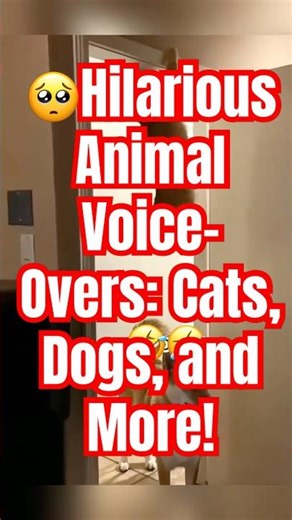 Hilarious Animal Voice-Overs: Cats, Dogs, and More!