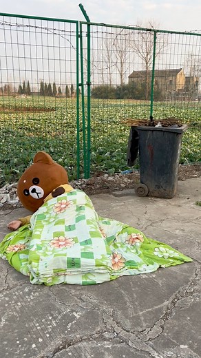 I also want to exercise and get hot! 🤣🤣🤣#funnybears #gaulay #gaulaygiban #gaulaythanhgaulieu #gaulaytiktok #gaulaytroll #gaulayyangho #gaulaymatngau #gaulaytrollgaixinh #trendingvideo #trendingtiktok #pippibear #muddybears #muddybearstreettroll #teddybear #teddybears #funnybear #gaulayjiban #gaulayloi #fyp | Super Muddy Bears