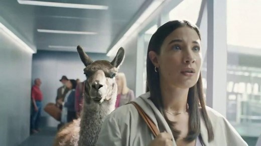 Dramamine Ginger Chews TV Spot, 'Ditch the Drama: Flight'