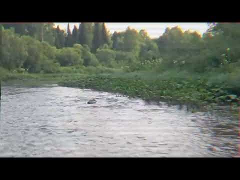 Река без воды!!! лодка,Хатанга 425jet