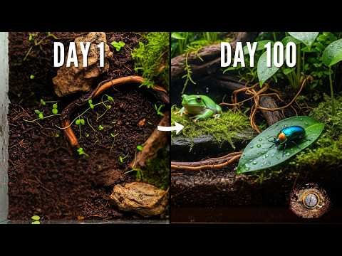 Simulating a Rainforest for 100 Days