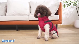 Geyecete Winter Warm Coat Waterproof Dog Winter Jacket with Harness Traction Belt,Windproof Pet Outdoor Jacket Dog Autumn-Gray-XXL