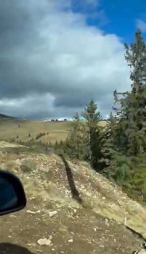 Relu Tobescu on Reels