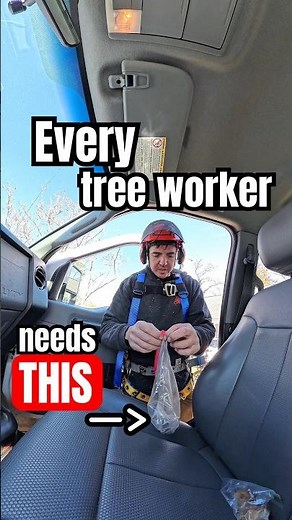 Better than any tree climbing gear