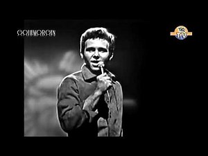 Bobby Vinton - Mr. Lonely (1965)
