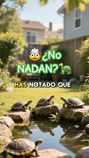 WHY YOUR TURTLES USE WATER ONLY FOR EATING