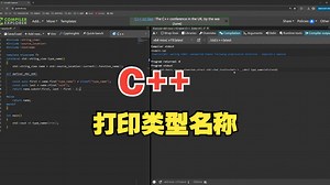 如何使用C  打印类型名称
