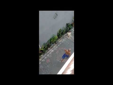 Bike Riding Monkey Tries to Steal Indonesian Toddler