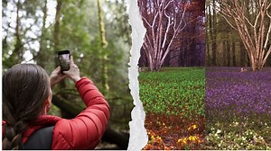 Scientists Created Open Source Tools to See in Animal Vision