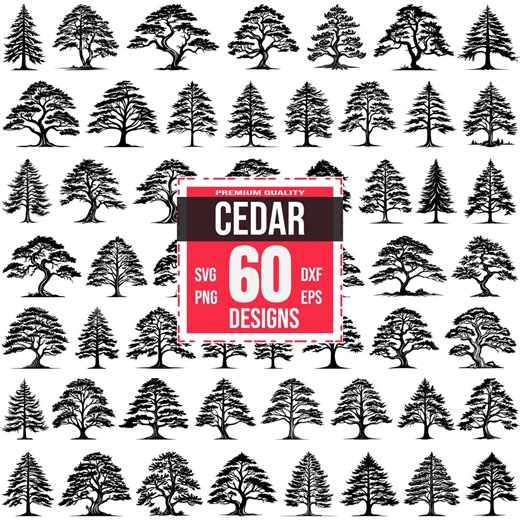 60 Cedar Tree SVG Bundle, Evergreen Tree Clipart PNG, Pine Tree Silhouette, Forest Nature Cut Files for Cricut, Bonsai Tree Vector Art - Etsy