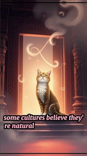 Can Cats See Spirits? 👁️ The Truth Behind Their Stares