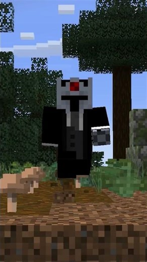 We Made Minecraft's Most Unique SMP Applications Open!