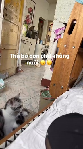 148K views · 1.2K reactions | Thà bỏ con chứ không nuôi  #mèo #reels #douyin | Con Mèo hiện lên và nói | Facebook