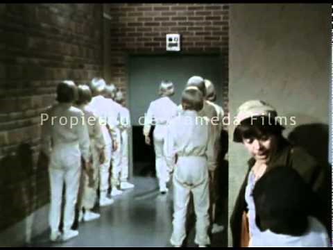 Chabelo y Pepito detectives (trailer original)