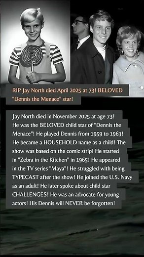 Jay North, Beloved Original Dennis the Menace Star, Passed at 73 – Heartbreaking #shortvideo