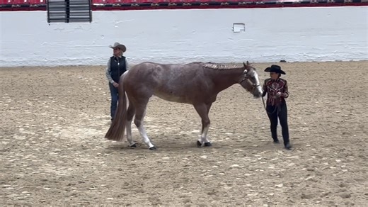 Showmanship. The partnership and art form of magically communicating...