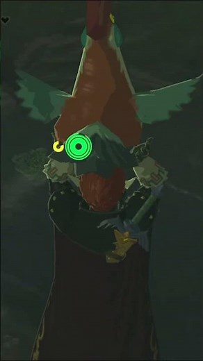 One of the dumbest glitches in TOTK! #zelda #tearsofthekingdom #nintendo